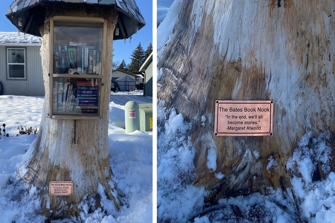 Free Library Made From Old Tree