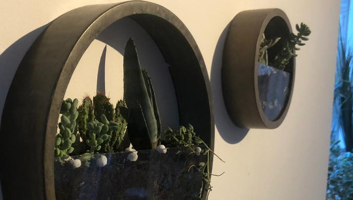 1-Minute-Make: Circular Wall Planters in Bronze