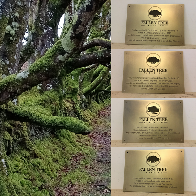 Every Tree Tells a Story: Custom Brass Plaques for Fallen Tree Table Co