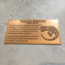 Engraved bronze plaque with text and image, made to oder in real bronze.