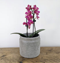 Distressed Concrete / Stone Plant Pot - Rustic Jar Shaped Planter - Eco Friendly